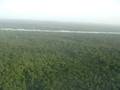Boeing 767-300 Landing In Guyana