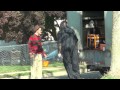 Skippy Goes Trick Or Treating