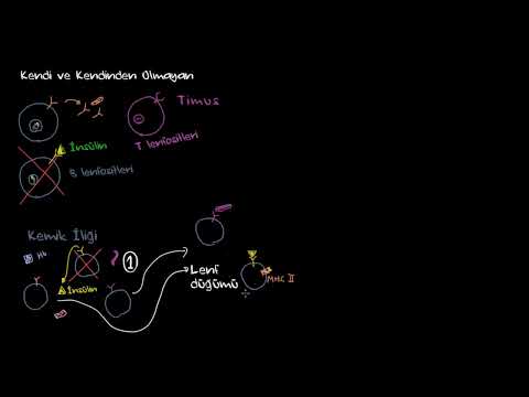 Khan Academy - Kendi ve Kendinden Olmayan Bağışıklık (Sağlık Bilgisi ve Tıp) - 2022.06.09