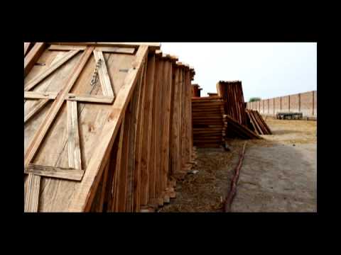 Ver video