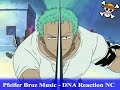 One Piece - Pfeifer Broz Music - DNA Reaction NC
