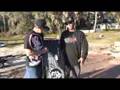 Byerly Legacy Wakeboard 2008