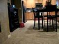 Petey Pete Olympics Part 3