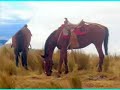 ecuador mi pais