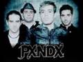 pxndx-narsicista por excelencia