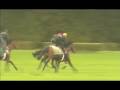 On the Gallops with Zarkava just before the Qatar Prix de l'Arc de Triomphe