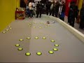 Tamiya rc car salon