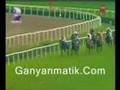 BOLD PILOT - ŞAMPİYON ŞAMPİYONDUR