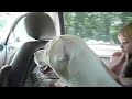 Roxy Comes Home