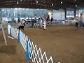 Cooper Steeplechase 1st 26.mpg Cooper Steeplechase 1st 26.mpg