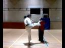 Johan Rynvoet mi chagi 10 times www koc-club-gent tk
