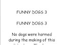 funny dogs 3