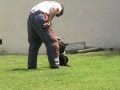 videos de Ba -Xian french ring guard afirm.MPG