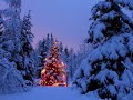 Christmas collection: O Holy night- Johny Mathis!