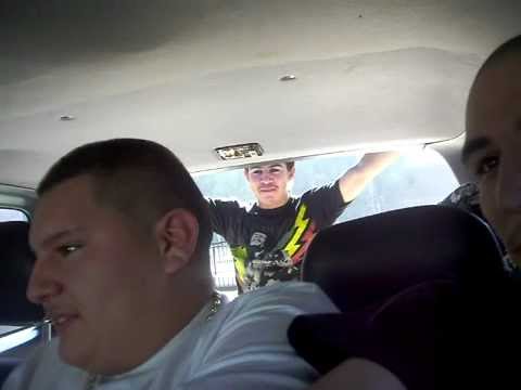 titfighting