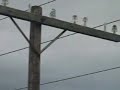 Click here to watch this video The Old Railway Tracks. Bells Corners, Nepean.