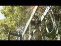 Dutch Shepherd dog agility