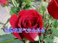 www.jesuslovesong.info...