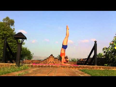 Ashtanga Yoga Pinchamayurasana Forearm Balance with Kino video