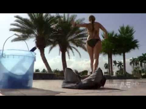 Watch The Glades Season 1 Episode 10 · TV Show Episodes and Movies Online