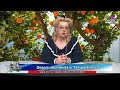 Portocalii aurii 2018 05 01 Portocalii aurii 2018 05 01