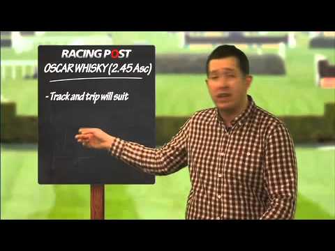 horse racing horse racing
