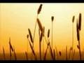 Salih Kahraman RAH�ME rahime matrax GAVUR Rahime