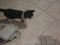 Freacky e il mocio!