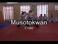 N� 18 Chile Hapkido - Daehan Moosoolwon - Entrenamiento 03
