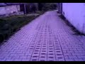 jazhinca001 jazhinca001