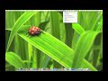 Desktoptopia for MAC Desktoptopia for MAC