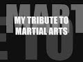 A Tribute to Martial Arts