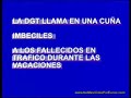 DGT llama IMBECILES en una cu�a a los fallecidos en tr�fico