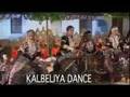 kalbeliya dance