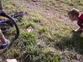 videos de Der sturtz von Leon