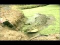 Ataque de cocodrilo