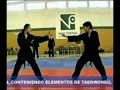 N� 1 Teukgong Moosool Chile - Exhibicion 1ra. Parte