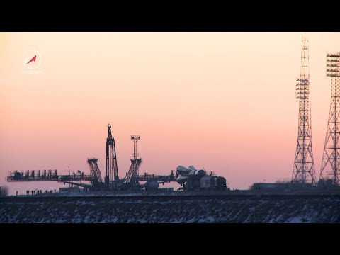 Спутник жизни