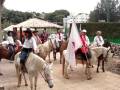 CTG - QUERENCIA NAS GERAIS - CAVALGADA - SEMANA FARROUPILHA - 2008