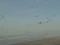 Winterbeach Winterbeach
