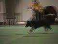 Obediencia: Campeonato del mundo 2006, Selsaas.Kuellaug 4