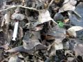 Rastatt - Gedenkstein - PerVers - Heroin auf dem Kinderspielplatz
