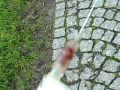 Rastatt - Gedenkstein - PerVers - Heroin auf dem Kinderspielplatz