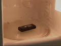 Just scared the heck out of Smiley with this video of a mobile being microwaved: http://t.co/SGuZEV9g #BadGuardian
