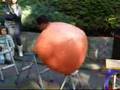 Balloonist performance（風船太郎パフォーマンス）1