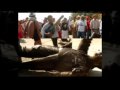 videos de Vicente Fox Strikes Again!