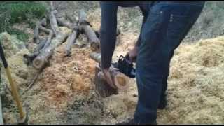 Makita BUC122 chainsaw αλυσοπρίονο ~ Έλληνας υλοτόμος