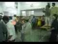 videos de fire walk seminar at 