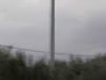 Belpasso stormo di uccelli migratori