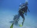 Diving with Manta Ray - Olhuveli